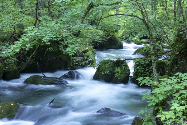 奥入瀬渓流 | 青森 十和田 おすすめの人気観光・お出かけスポット