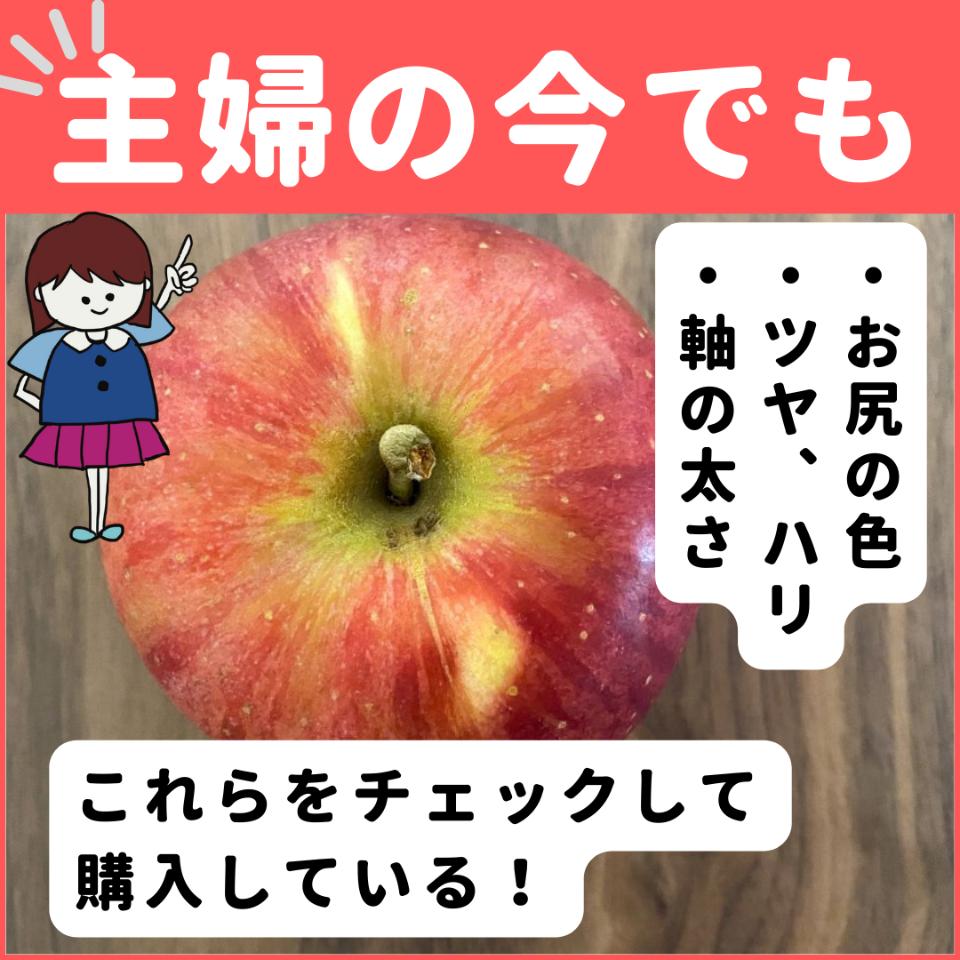 りんご様 確認用